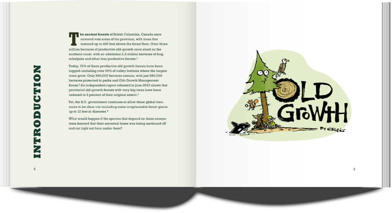 Publication Spread: on the left page is the Introduction of the publication, on the right page is an illustration of a tree, squirrel, bear, ocra, raccoon, and eagle.